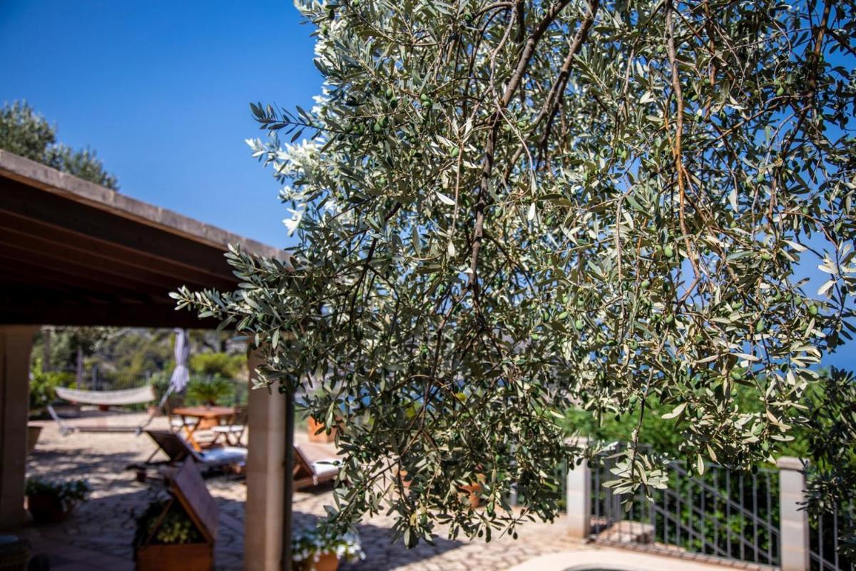 Finca Rural Es Pujol Sóller Buitenkant foto