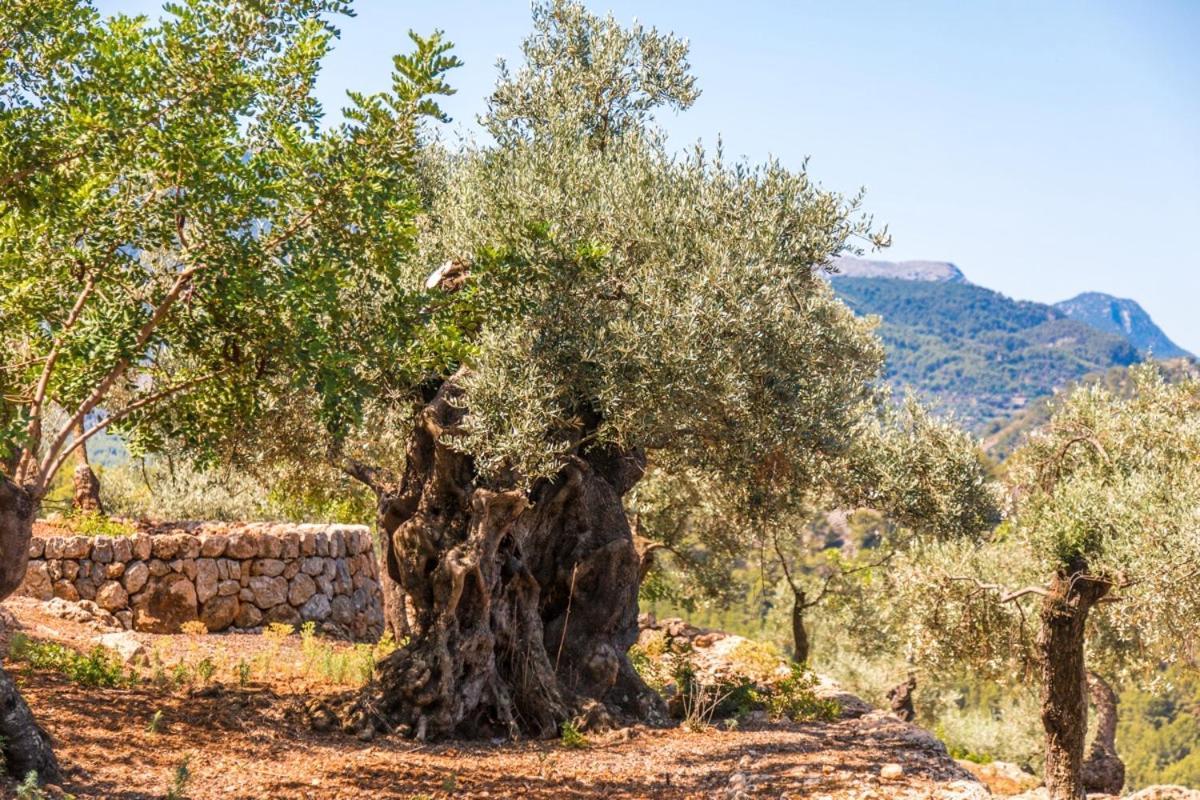 Finca Rural Es Pujol Sóller Buitenkant foto